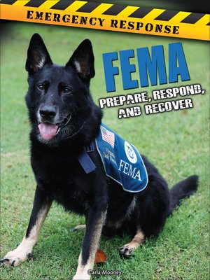 cover image of FEMA